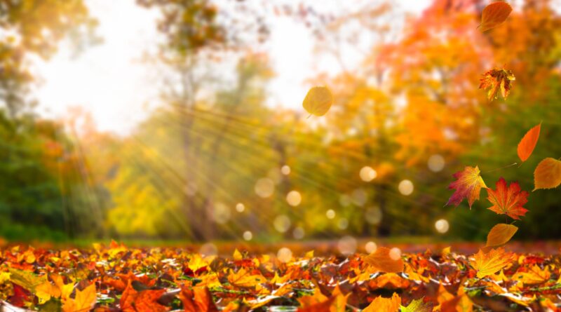 Autunno e il Foliage
