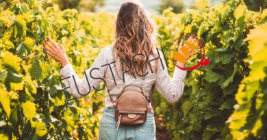 Degustazione itinerante
