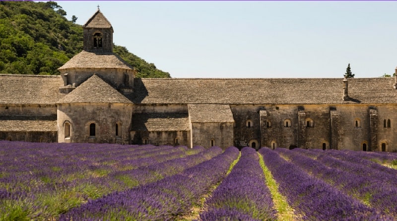 Tour di gruppo in pullman