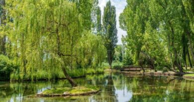 Viaggio di gruppo in pullman in Umbria