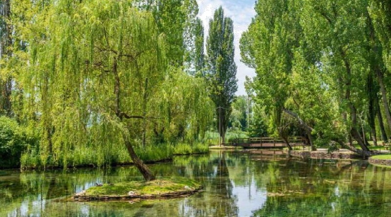 Viaggio di gruppo in pullman in Umbria