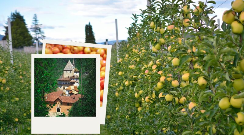 I Meleti della Val di Non e il Santuario di San Romedio
