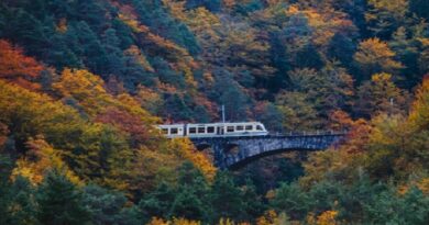 Boschi e vallate della Val Vigezzo dal treno del foliage