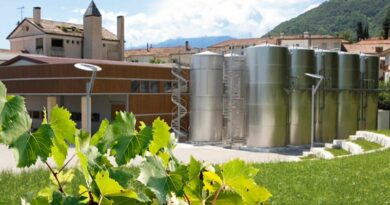 Vieni alle Cantine Boltolomiol una notte o solo una degustazione per scoprire tutto sul prosecco