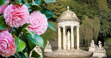 Il parco, costruito nel XIX secolo, è un esempio spettacolare di architettura neoclassica e paesaggistica. Durante la fioritura delle camelie, si trasforma in una tavolozza vibrante, con migliaia di fiori dai colori più diversi