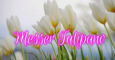 I Casstelli di Messer Tulipano: Castello di Pralormo e Castello di Govone: un viaggio nel tempo e nei colori!