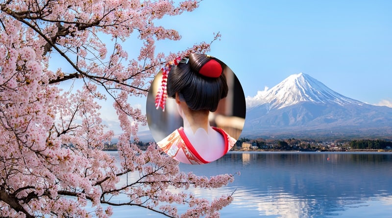 Viaggio in Giappone: aprile 2025, 11 giorni tra ciliegi in fiore, templi e sushi senza fine