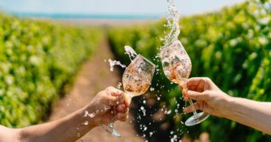 un evento tra i vigneti eroici della Val d'Ossola con otto tappe di degustazione e vini DOC locali