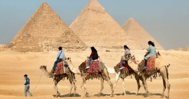 Cairo 2025: museo egizio e piramidi
