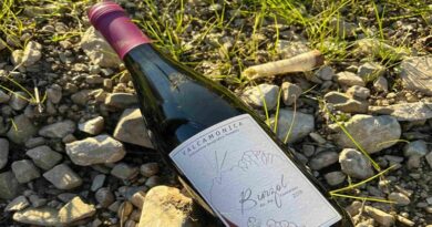 BURZOL – Marzemino e Merlot (2018) della Cantina Concarena È il rosso di casa. Letteralmente. I nonni lo coltivavano già. Qui si sente la terra, si sente la sincerità. Non fa il figo, ma lo è.