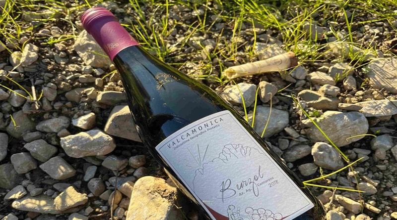 BURZOL – Marzemino e Merlot (2018) della Cantina Concarena È il rosso di casa. Letteralmente. I nonni lo coltivavano già. Qui si sente la terra, si sente la sincerità. Non fa il figo, ma lo è.