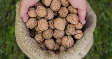 un po’ di frutta secca ci sta sempre