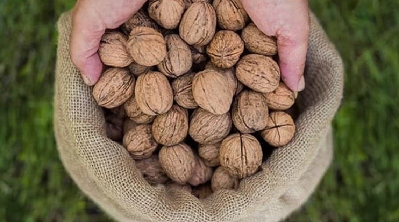 un po’ di frutta secca ci sta sempre