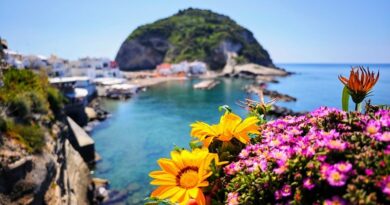 Ischia è l’isola delle terme, dei tramonti a Forio, delle stradine profumate di fiori a Lacco Ameno, e dei bagni rilassanti sotto il cielo aperto e del pollo al vulcano a Sant'Angelo d'Ischia