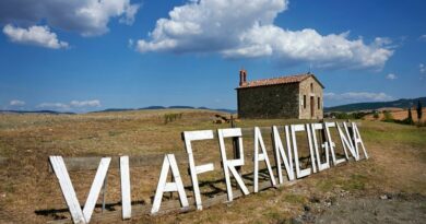 Camminare per rallentare, guardare meglio, ascoltare quello che ti gira dentro. E se poi lo fai su un sentiero come la Via Francigena — con partenza da Milano e la testa che ha voglia di staccare — allora ogni passo diventa un piccolo atto di libertà.