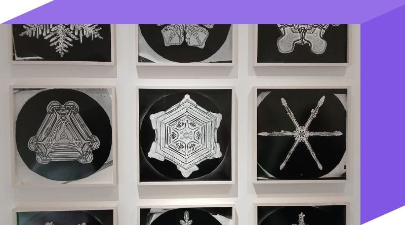 Cristalli di neve fotografati al microscopio in mostra al Mudec di Milano per “Il senso della neve”, esposizione dedicata alla neve tra arte e scienza.