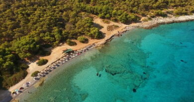Spiaggia di Agistri vicino Atene con mare cristallino e pineta, ideale per vacanze in Grecia ad agosto