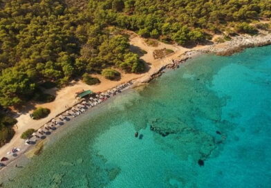 Spiaggia di Agistri vicino Atene con mare cristallino e pineta, ideale per vacanze in Grecia ad agosto