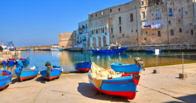 barche dei pescatori nel porto di Brindisi con centro storico e acqua limpida in Puglia