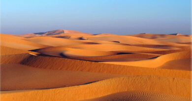 Dune dorate del deserto di Wahiba Sands durante un tour Oman tra deserto e paesaggi naturali spettacolari