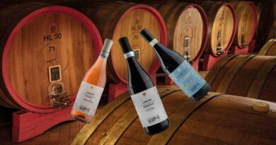 Degustazione itinerante Milano Eustachi Ora con vini Ciabòt Bertòn tra botti in cantina Barolo Langhe