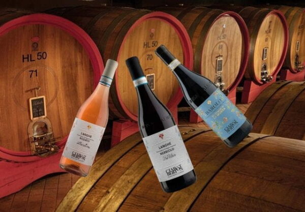 Degustazione itinerante Milano Eustachi Ora con vini Ciabòt Bertòn tra botti in cantina Barolo Langhe