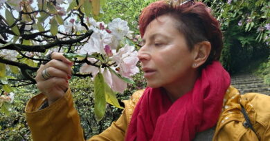 Maria Grazia Sartirana ammira le azalee in fiore a Villa Carlotta sul Lago di Como nei giardini di Tremezzina