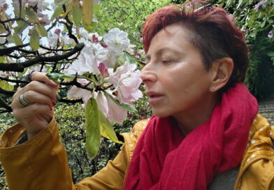 Maria Grazia Sartirana ammira le azalee in fiore a Villa Carlotta sul Lago di Como nei giardini di Tremezzina