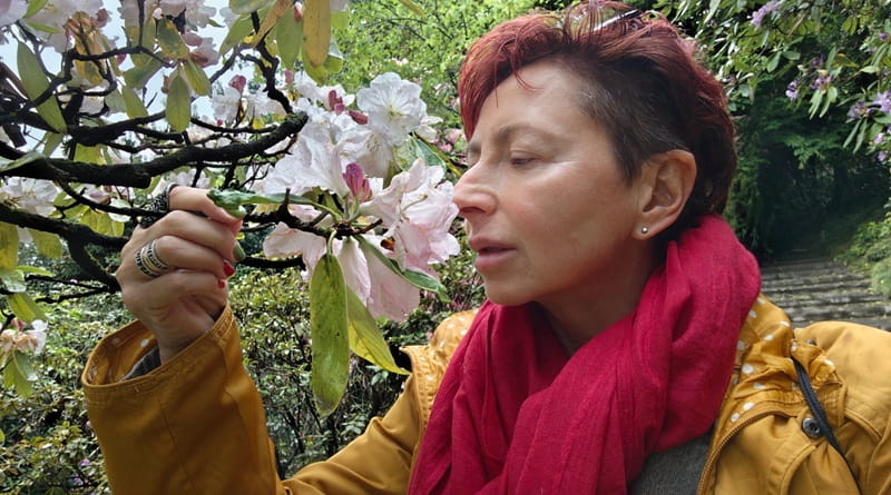 Maria Grazia Sartirana ammira le azalee in fiore a Villa Carlotta sul Lago di Como nei giardini di Tremezzina