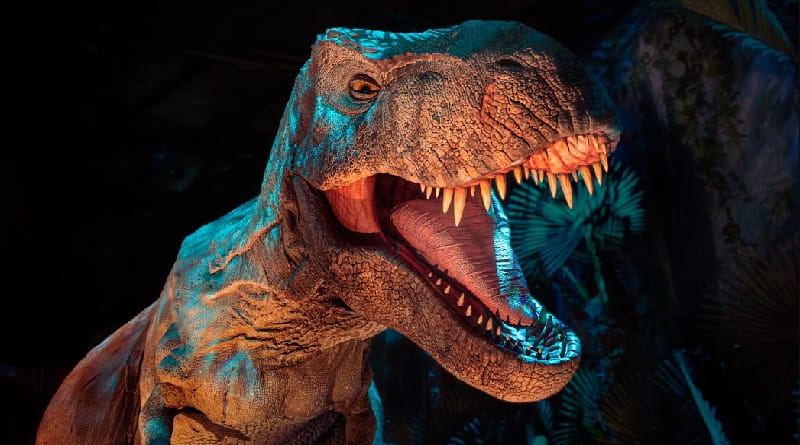 Il Tyrannosaurus rex è uno dei protagonisti di Jurassic World: The Experience, l'avventura immersiva in scena a MilanoSesto.