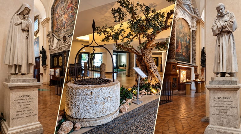 San Francesco e Santa Chiara ad Assisi, con l’antico olivo del BV Grand Hotel, nel Diario Gechesco dedicato agli 800 anni dalla morte del santo.